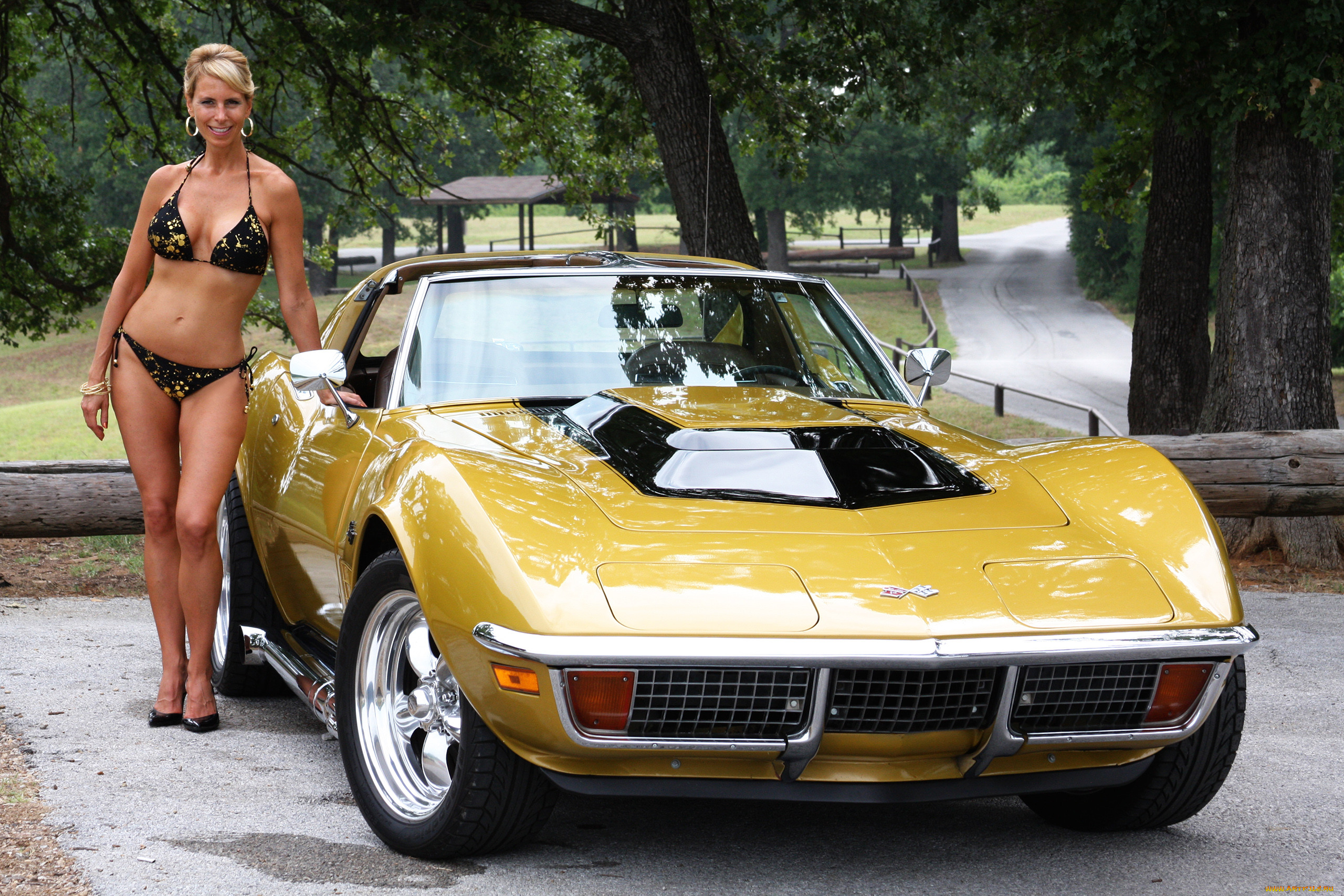 автомобили, -авто с девушками, corvette.